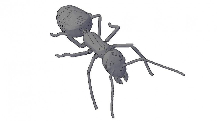 3d drawing of spider animal blocks autocad file