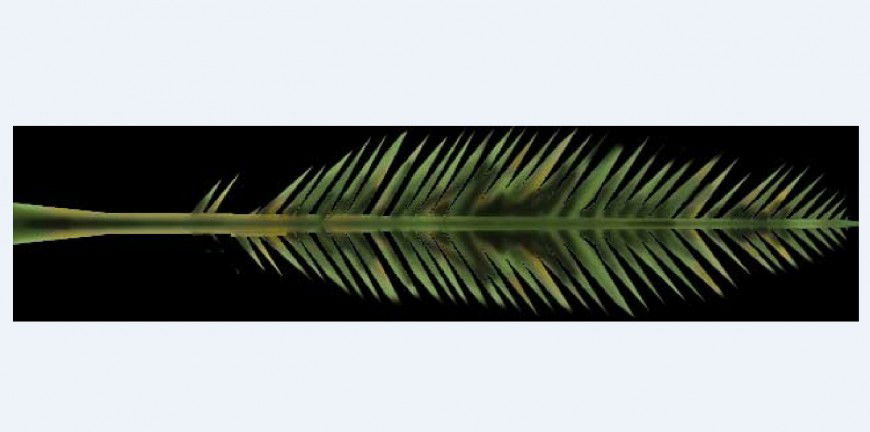 3D effect image view detail of a leaf