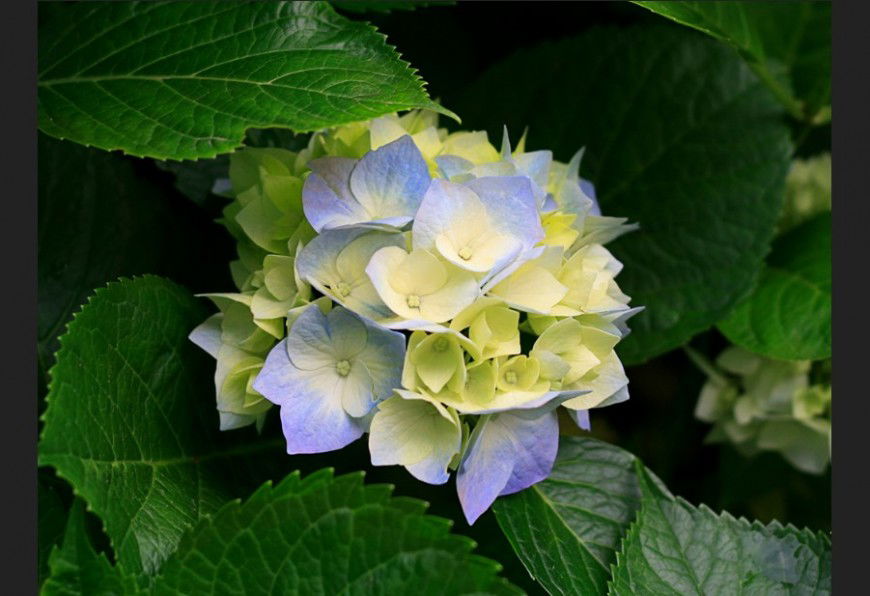 3d landscaping units of flower plant layout photo file