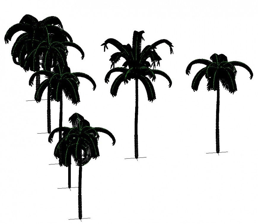 3d model coconut trees detail CAD block layout autocad file