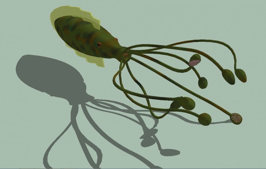 3d model of aquatic animal layout sketch-up file