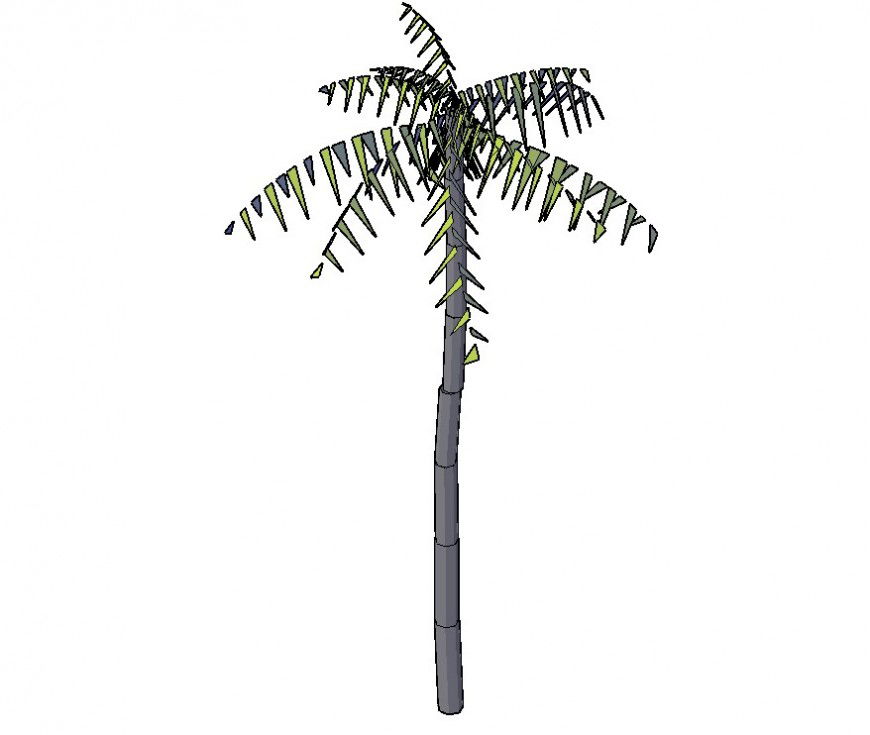 3d model of landscaping palm tree CAD block layout file in dwg format