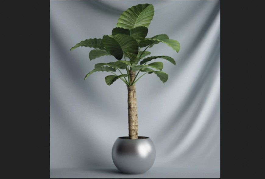 3d model of landscaping plant detail 3d max file