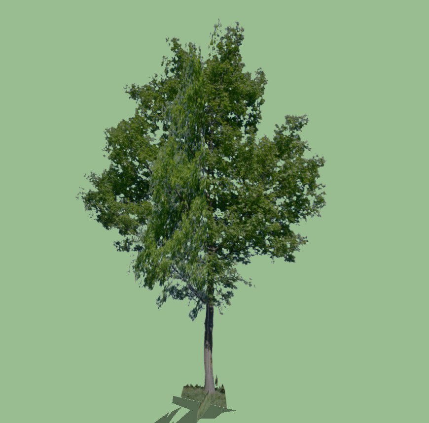 3d model of landscaping tree detail CAD block layout sketch-up file