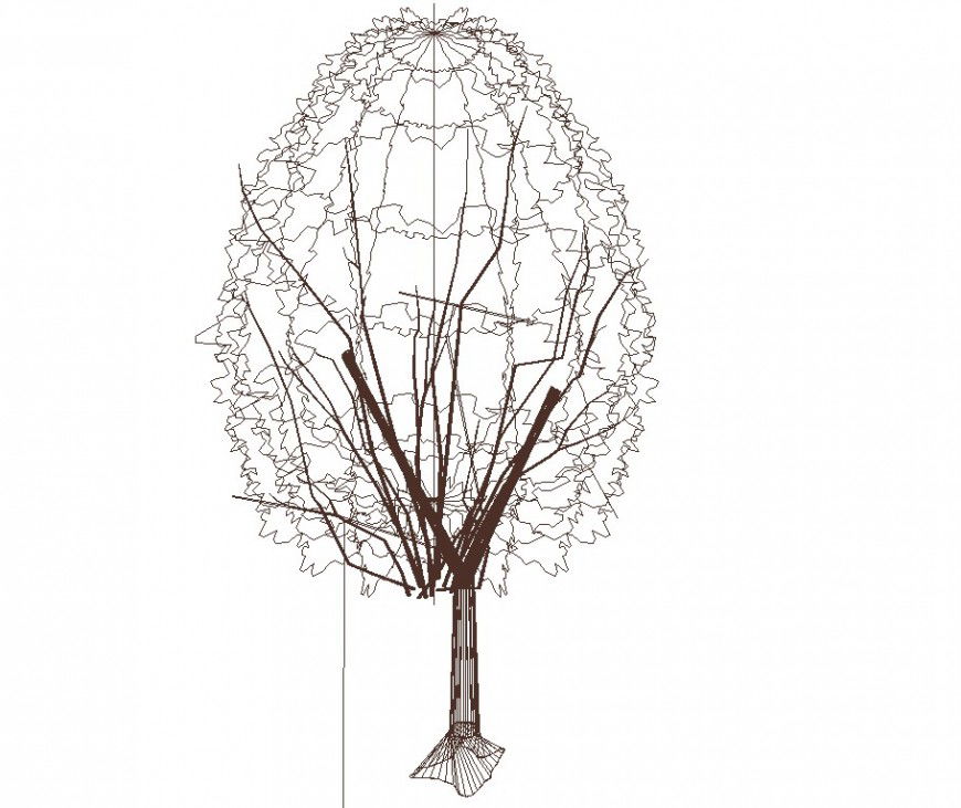 3d wireframe drawing of tree in dwg file.