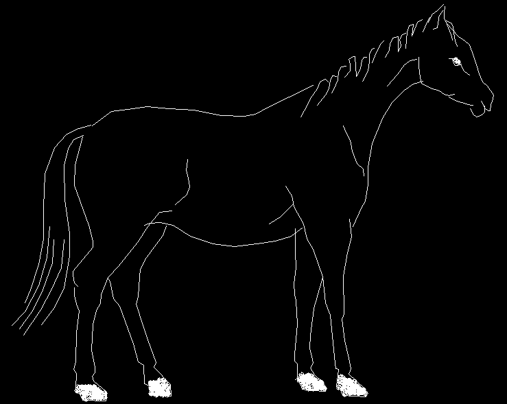 2D Horse Drawing Design in DWG Vector File for Art and Architecture