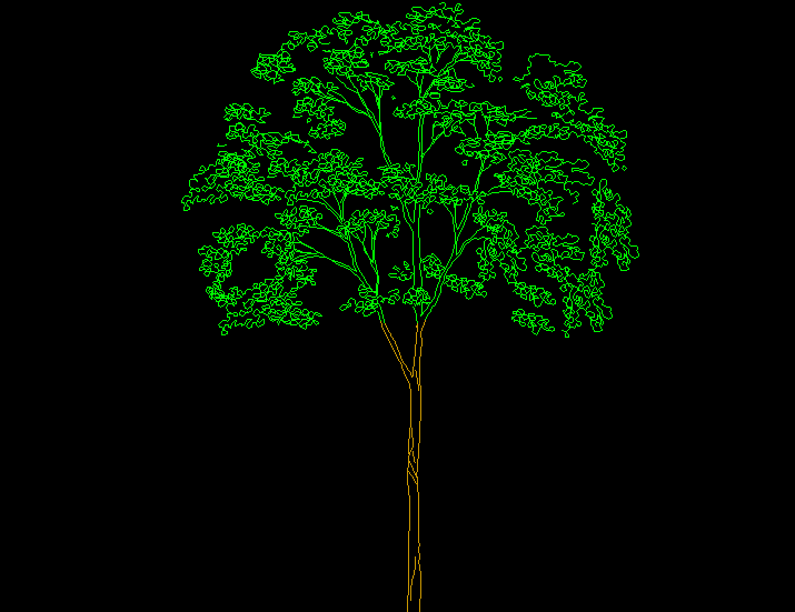 Tree AutoCAD DWG File with 2D Rendered Elevation and Line Design