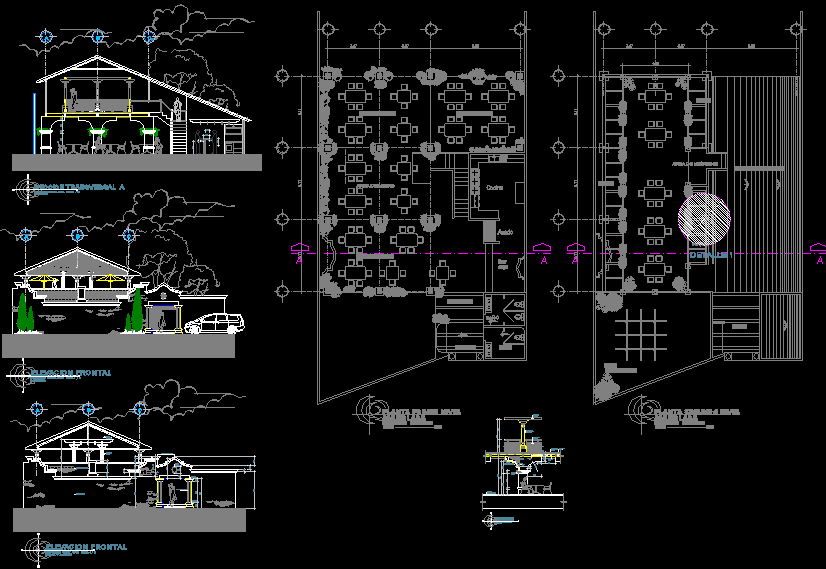 Restaurant Design CAD Drawing with Furniture Layout and Elevations DWG