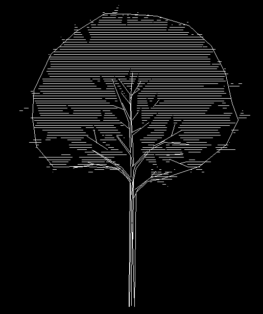 2D Tree CAD Drawing for AutoCAD Landscape and Architectural Design