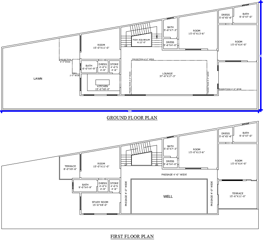 Unique two-storey residential 42 by 100 plan in AutoCAD File