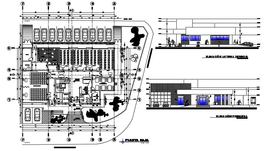 50x40 Meter school plan of the furniture’s layout drawing