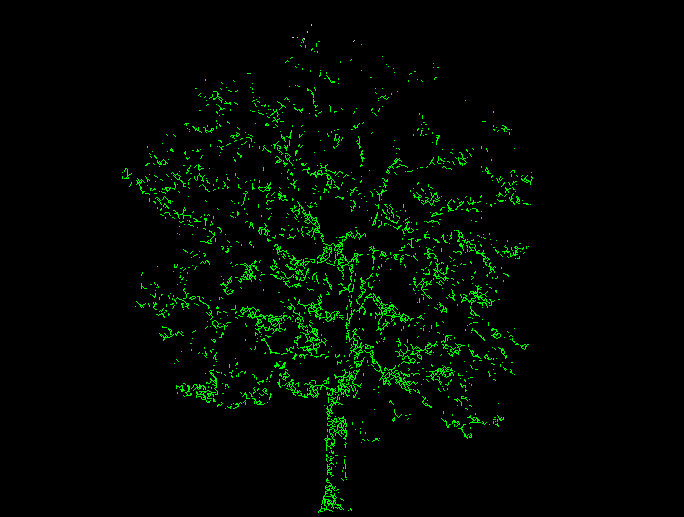Heighted Tree AutoCAD DWG File with Complete 2D Elevation Design