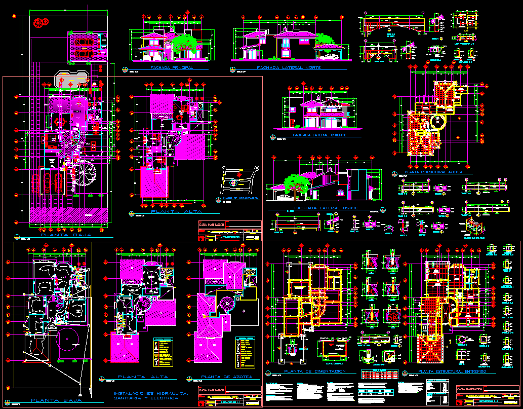 House design 2D cad drawing with floor plan elevation and section