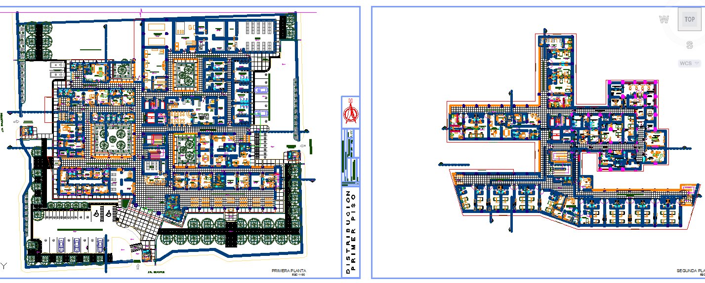 Hospital AutoCAD DWG Plan with Master Layout and Floor Distribution