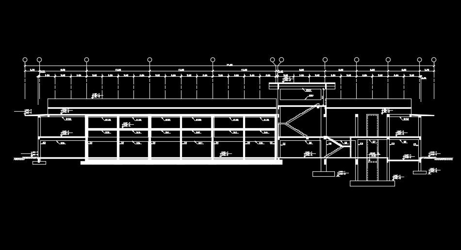 77m length of the mosque foundation section view