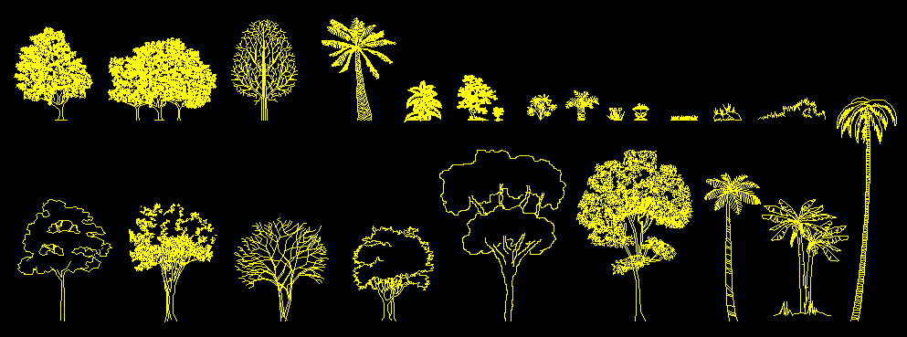 Heighted Tree CAD Drawing File for Landscape and Architectural Design