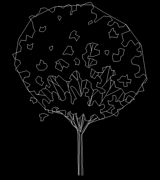 Tree Front View CAD Drawing in AutoCAD for Landscape Planning