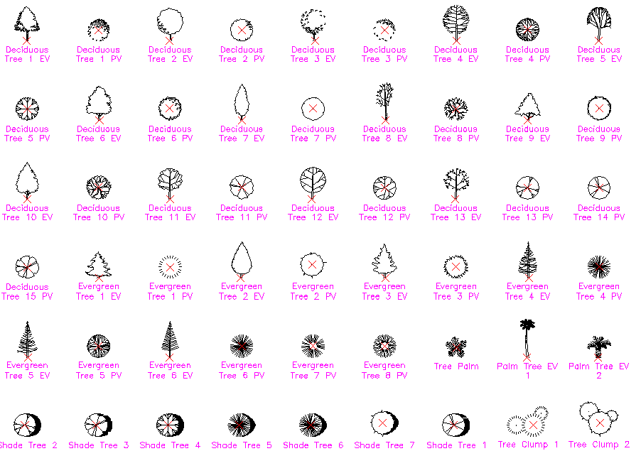 Tree CAD Blocks DWG File with 2D Elevation and Plan View Designs