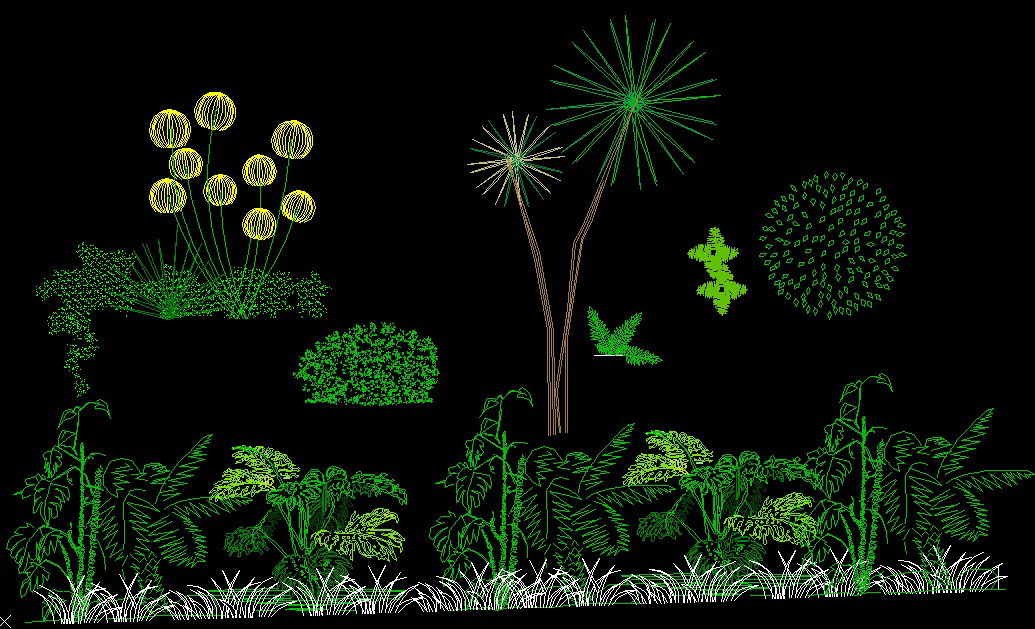 Trees CAD Blocks Download in DWG Format for Landscape Design