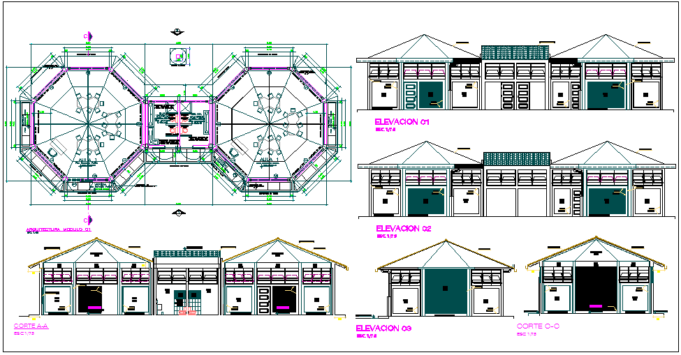 Architectural plan,elevation and section view of collage building dwg file