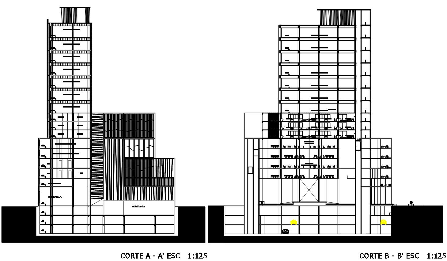 Architecture Corporate Building Section Drawing AutoCAD File