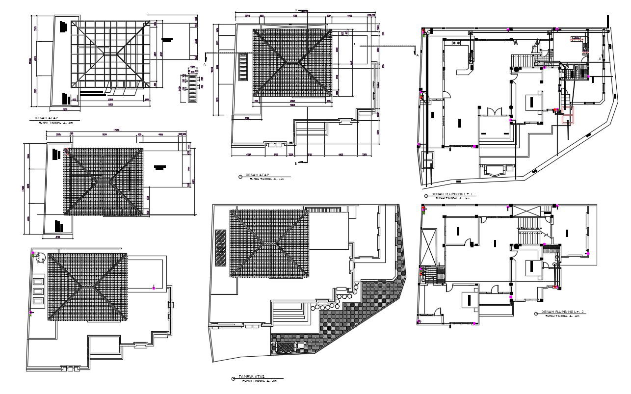Architecture Roof House Plan AutoCAD file
