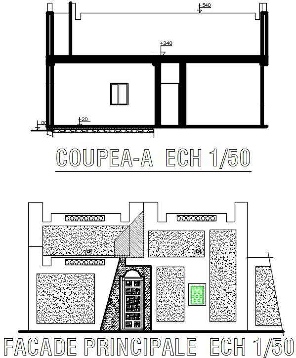 A section and elevation view of the 11x10m villa building