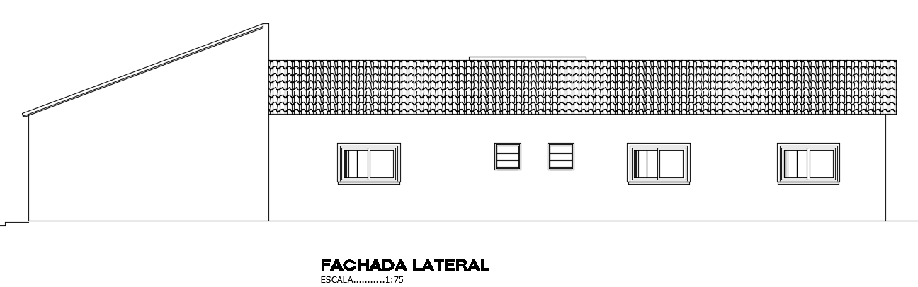 A side façade view of the 31x8m villa building CAD drawing