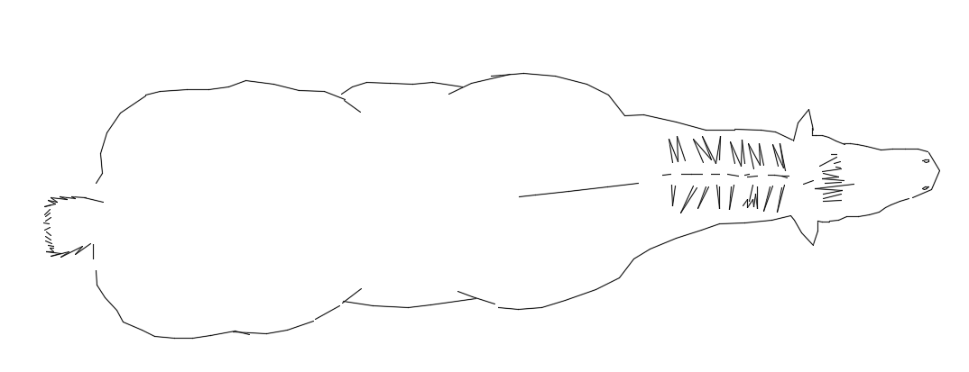 A top view of the cow CAD plan is given in this file