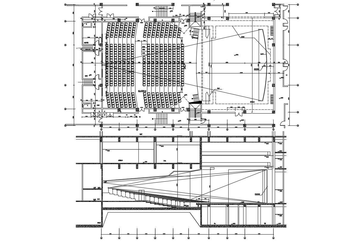 Auditorium Design Plan and Section CAD Drawing