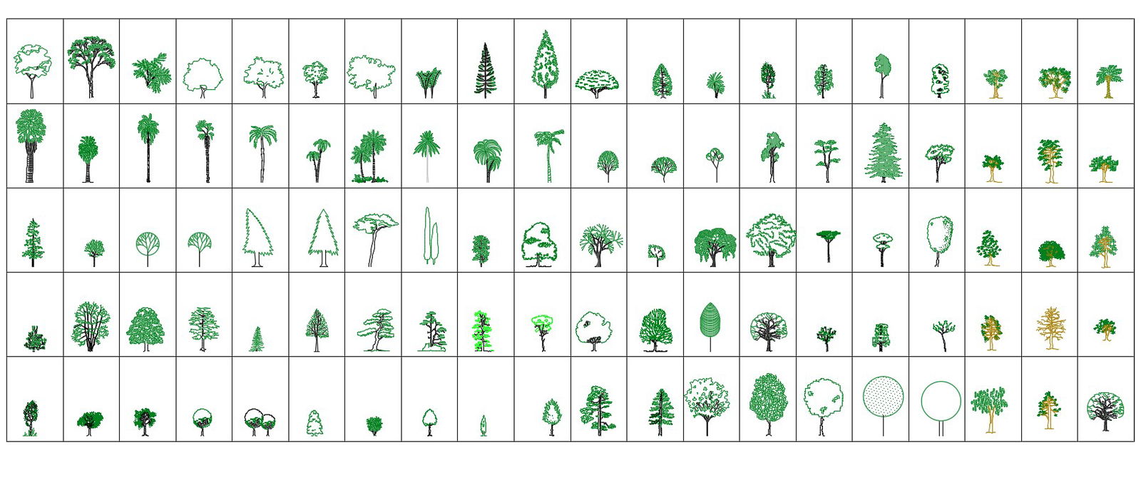 AutoCAD Tree CAD Blocks Elevation Drawing Free Download DWG File