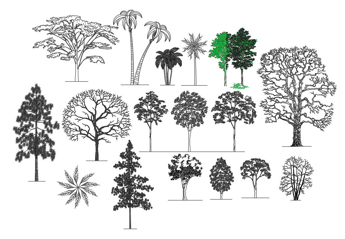 Autocad 2D Tree Elevation Blocks Free Download