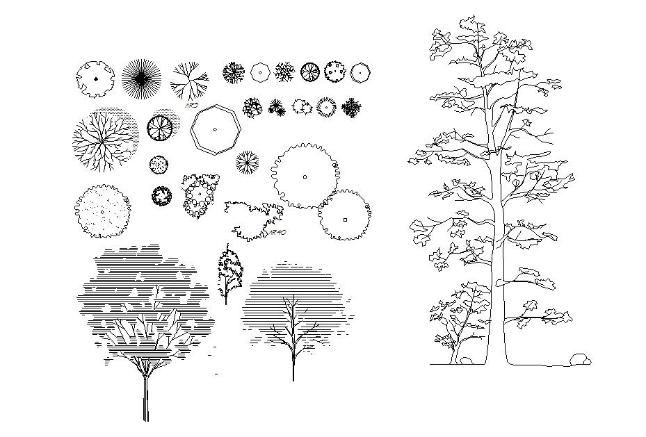 Autocad blocks of trees 