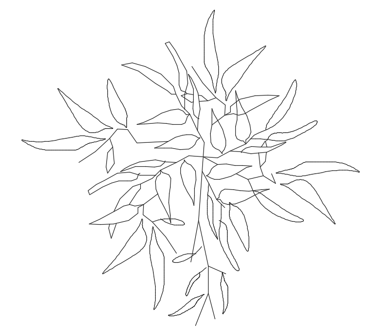 Bamboo Plan Logo DWG Showing Detailed Leaf Distribution Layout