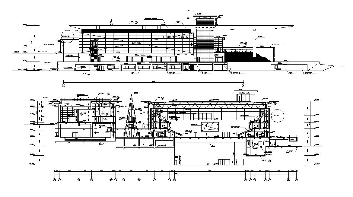 Building Elevation and Section Drawing