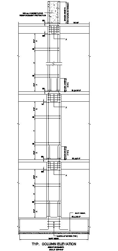 CAD Drawing of Column Elevation Detail In AutoCAD DWG File