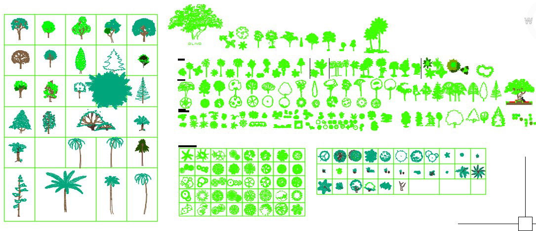 Cad blocks of trees and plants
