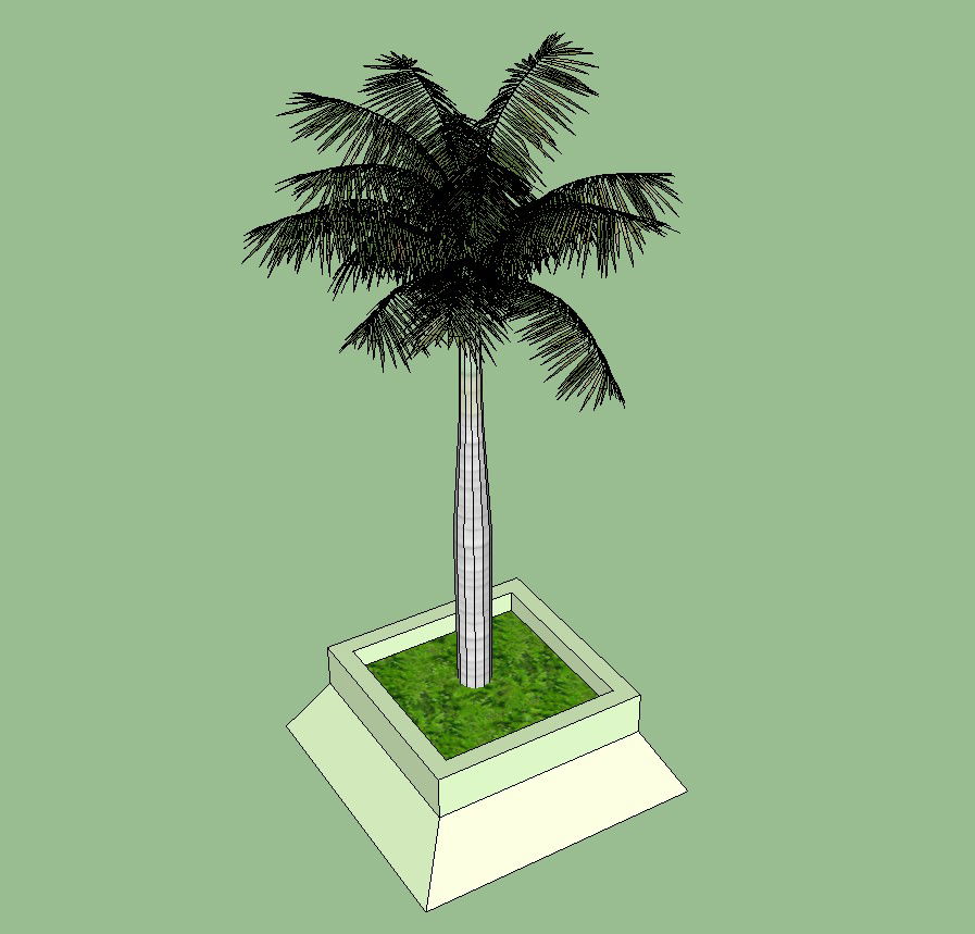 Coconut tree detail 3d model CAD blocks layout sketch-up file