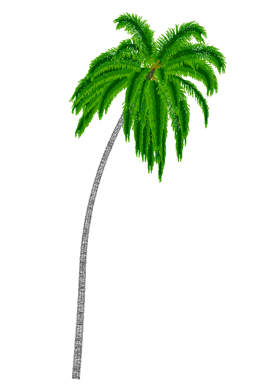 Coconut tree 3D model CAD block DXF AutoCAD drawing