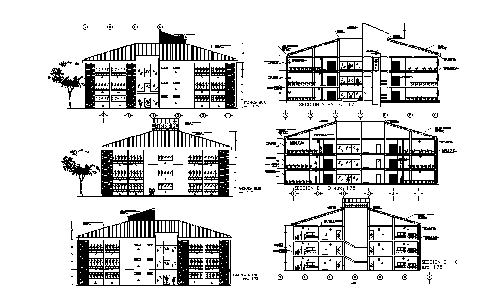 College Building Sectional Elevation Drawing Download DWG File