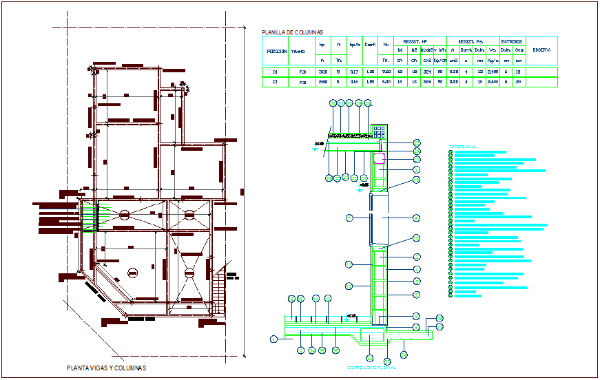 House Column Plan with Section and Structural Detail