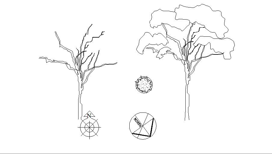 Common tree and plant elevation blocks cad drawing details dwg file