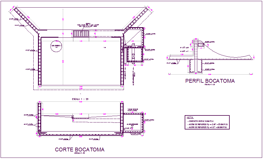 Construction detail of water inlet of bocatoma plant dwg file