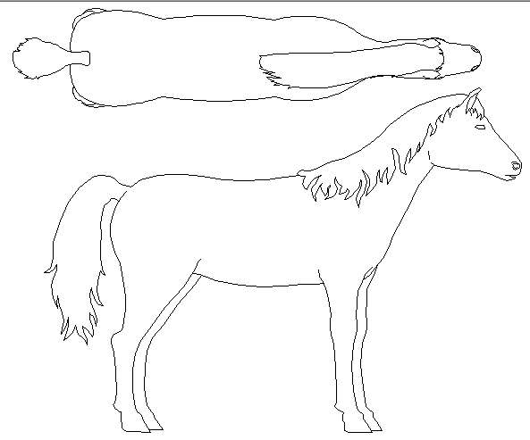 Creative horse side and top view cad design block dwg file