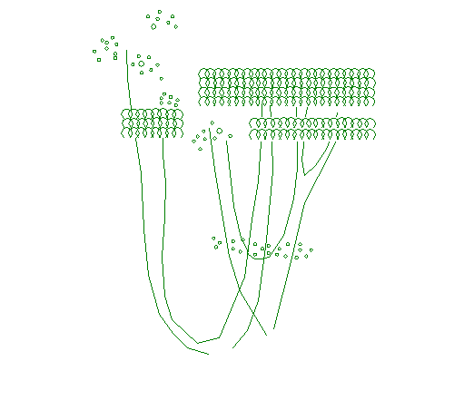 Creative shrub plant elevation block design dwg file