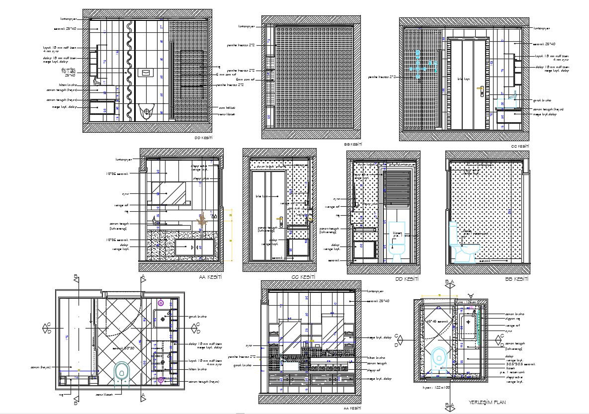 DWG Drawing Of Master Toilet Design With Wall Elevation AutoCAD File
