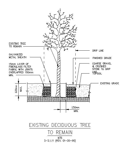 Deciduous Tree Planting Detains In Autocad Dwg Files