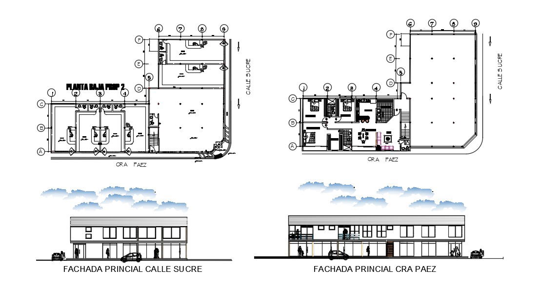 Design Of Local Apartment Plan And Elevation In AutoCAD File