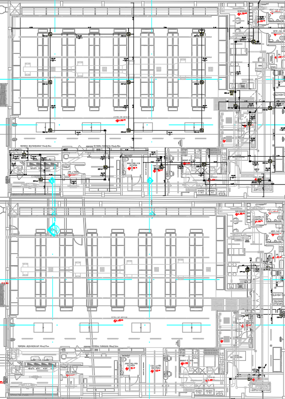 Detailed Shopping Mall Architecture Floor Plan Layout in DWG CAD File