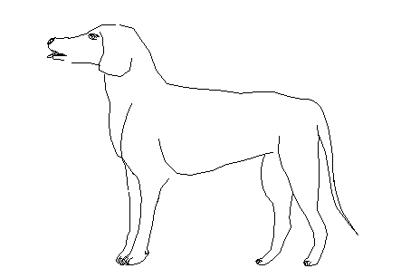 Dog 2d elevation details